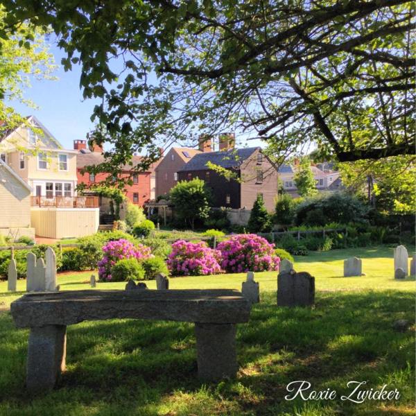 Headstones in a graveyard