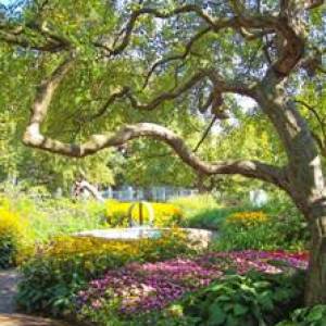 A lovely view at a local park