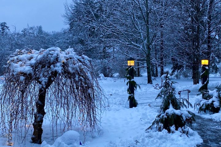 a traffic light covered in snow