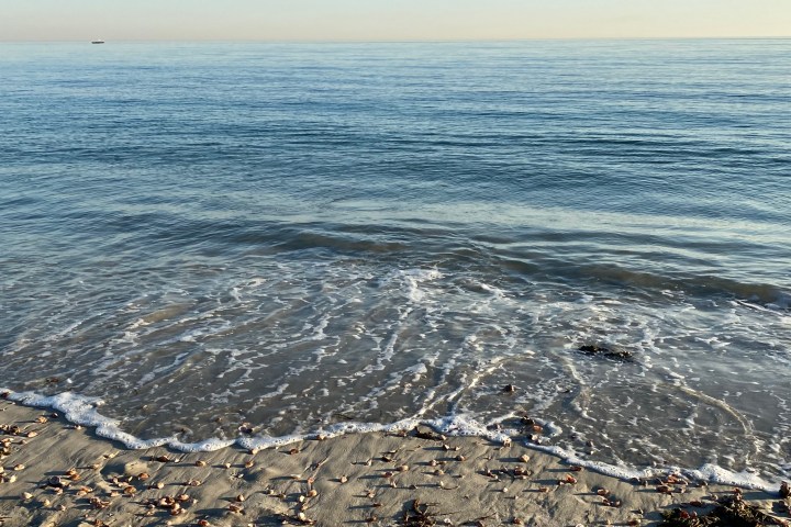 a rocky beach next to the ocean