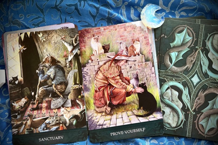 Three tarot cards on patterned blue fabric; includes animals and mystical scenes.
