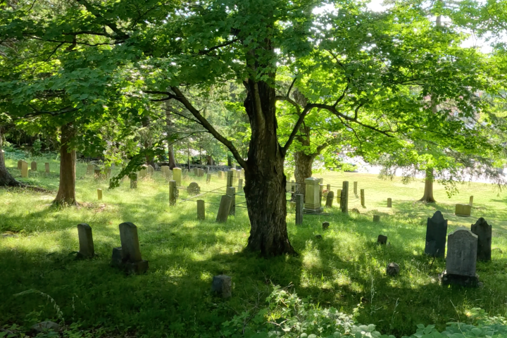 Old cemetery with headstones among trees and sunlight filtering through leaves.