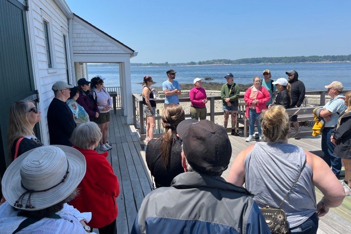 Group of people on a wooden deck listening to a speaker near a waterfront.