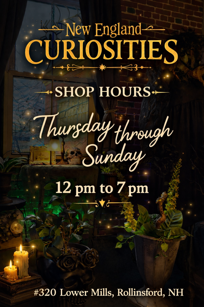 Shop hours sign for New England Curiosities with candles and plants.