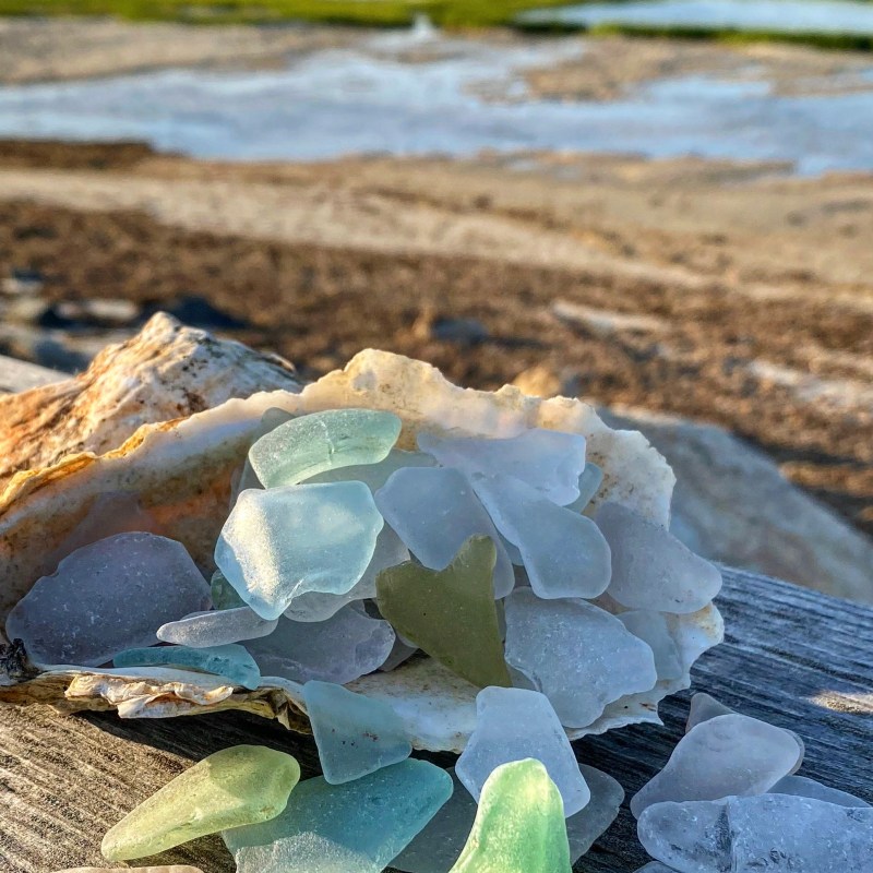 Sea glass pieces on driftwood with shoreline in background.