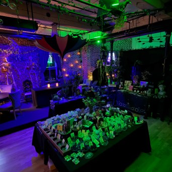 Dimly lit room with tables displaying crystals and plants, featuring green and purple lighting.