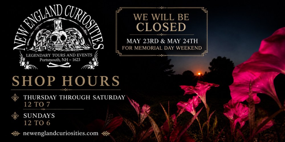 Promotional image for New England Curiosities with shop hours and closure notice for Memorial Day weekend.