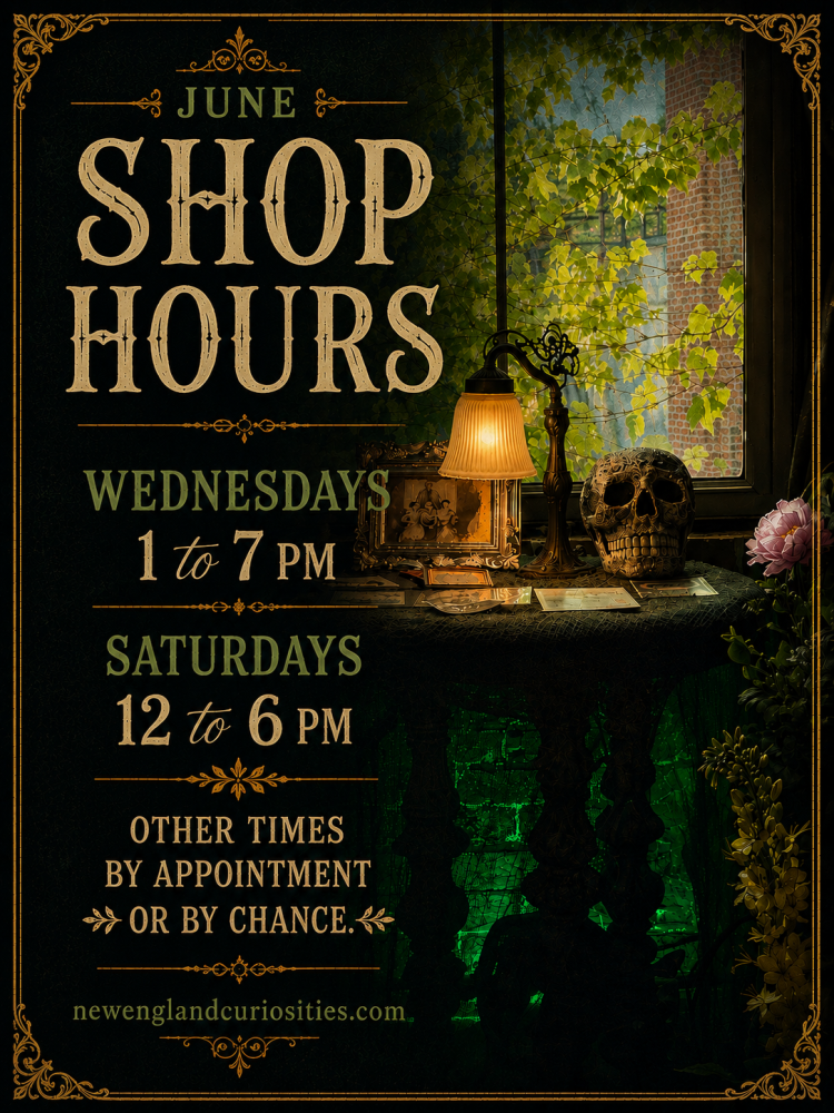 Shop hours poster with a lamp and skull on a table, surrounded by greenery.