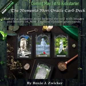 a bunch of different items that are on display