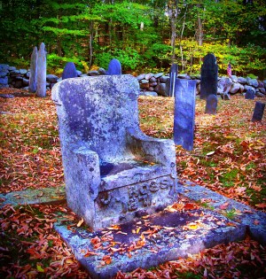 a person sitting in a garden